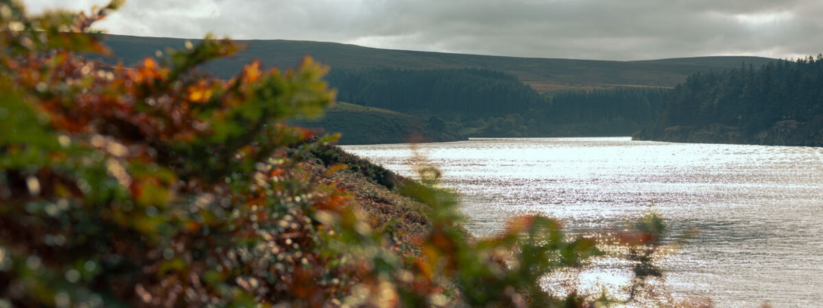 Sulby Reservoir